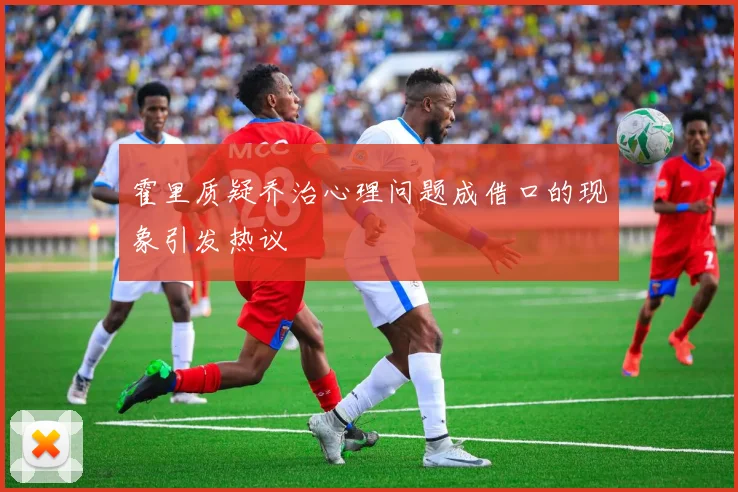 霍里质疑乔治心理问题成借口的现象引发热议